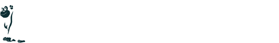 ホビーショップSHINTANI